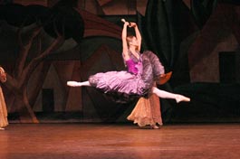 Don Quixote. Liuva Horta